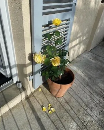 No 5 * Plaisance (Gers)