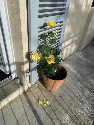 No 5 * Plaisance (Gers)